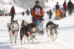 Lenk 2012 SM